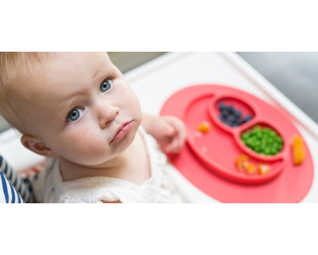 ALIMENTACION COMPLEMENTARIA 